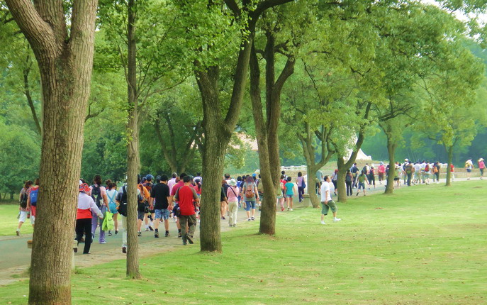 dsc02543.jpg