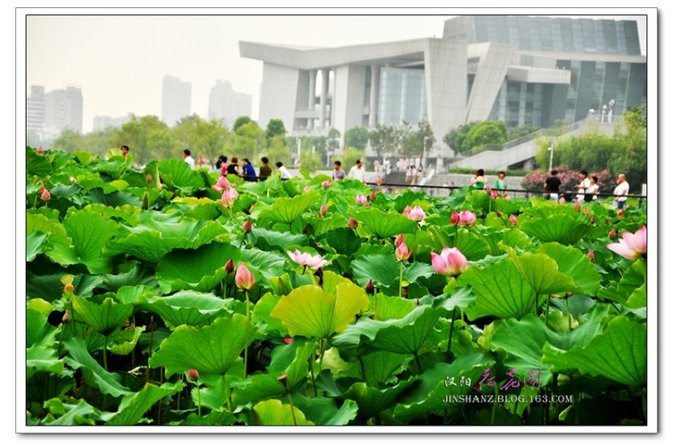 neo_img_ppdsc_6725.jpg