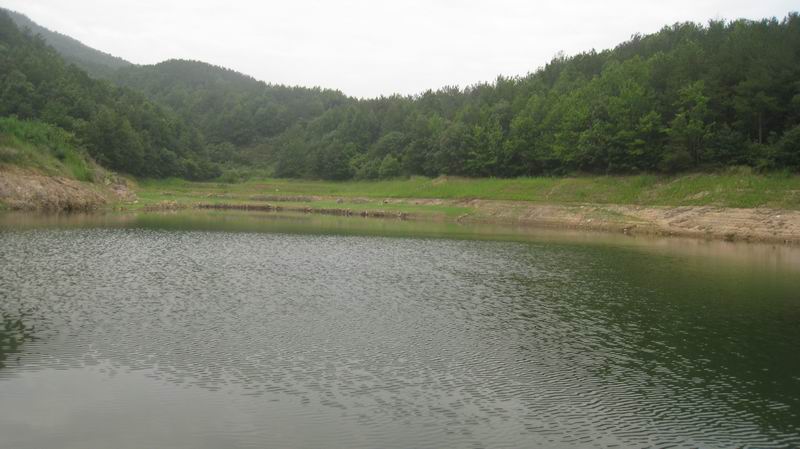 С 201171617 034.jpg