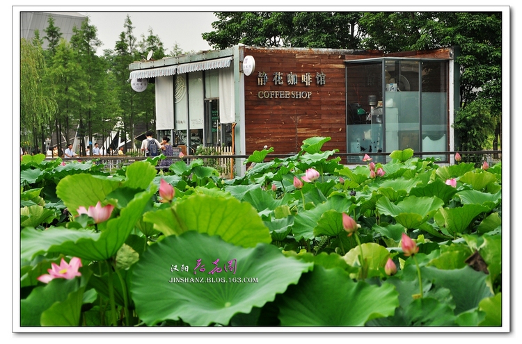 neo_img_pdsc_6719.jpg