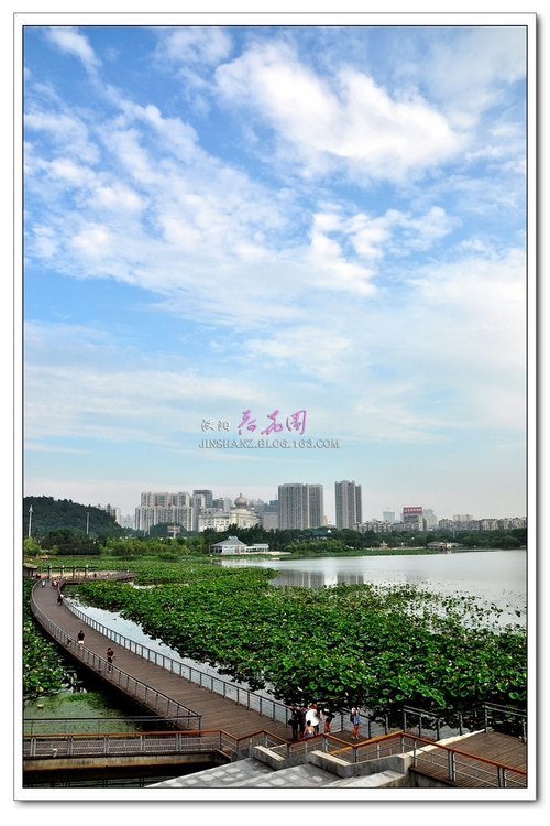 neo_img_pdsc_6929.jpg