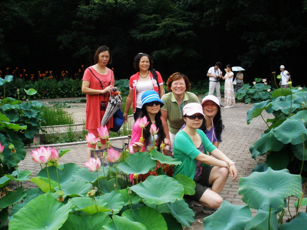 hehuayuan12a.jpg