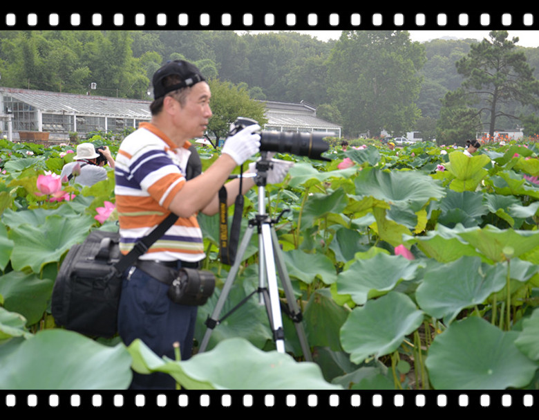 dsc_0030 (23)__.jpg