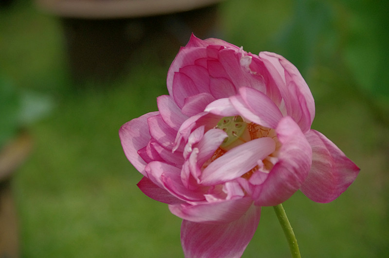 imgp0387_.jpg