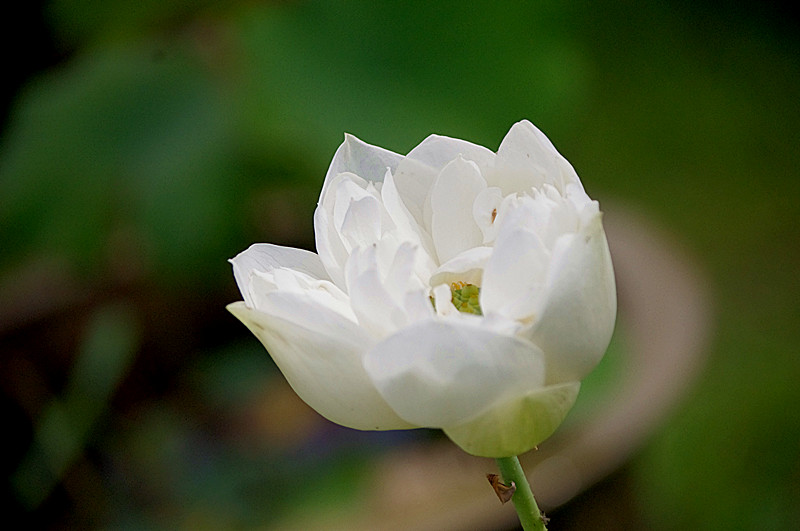 imgp0389_.jpg