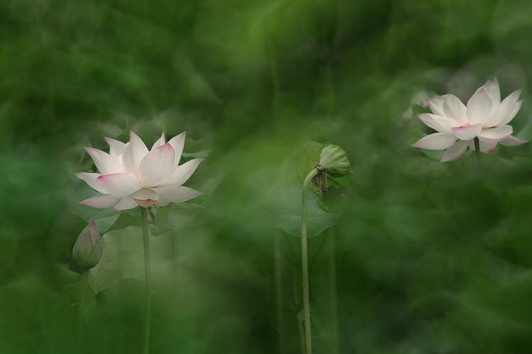 dscf0712 .jpg