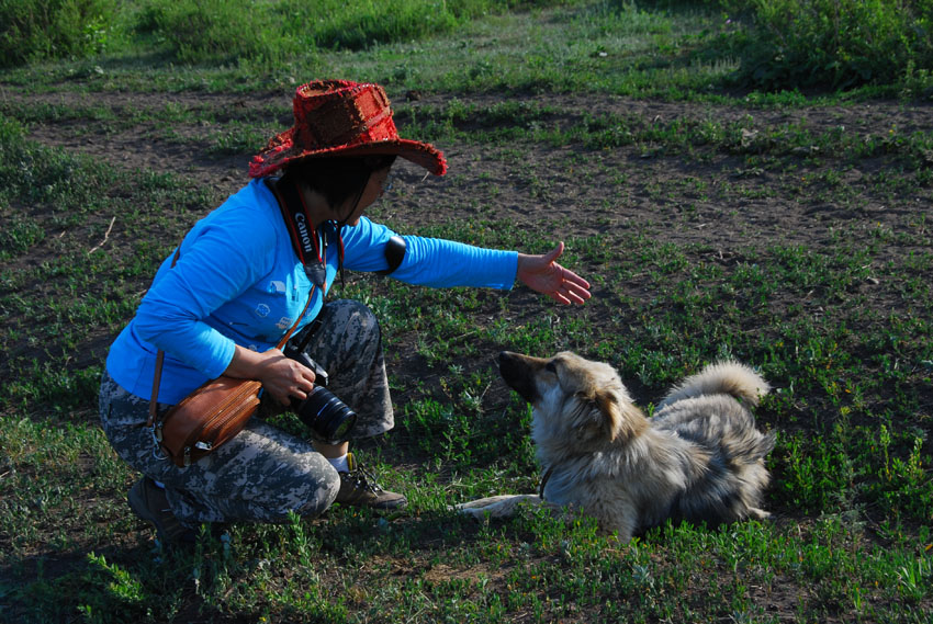 dsc_0766.jpg