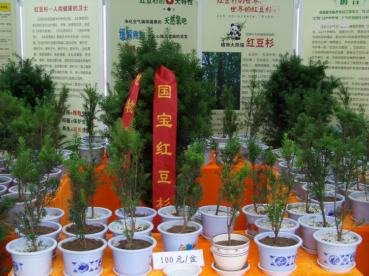 2011年0601西安n世园会企业展园 (13).jpg