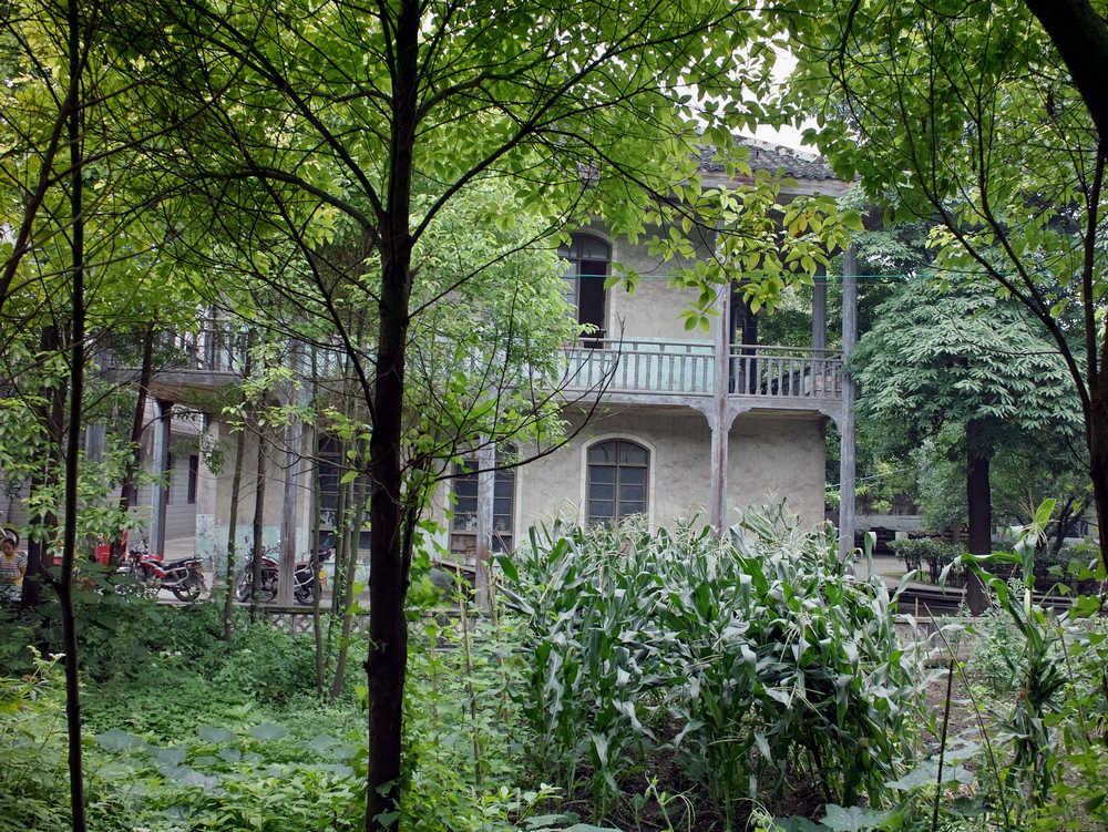 sdim0695.jpg
