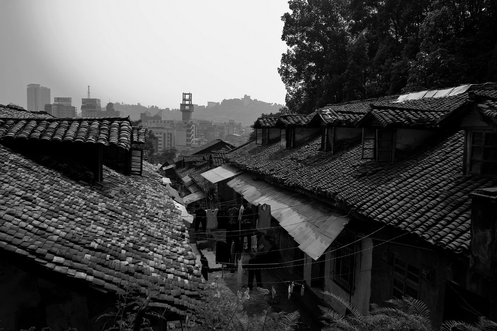sdim0823.jpg