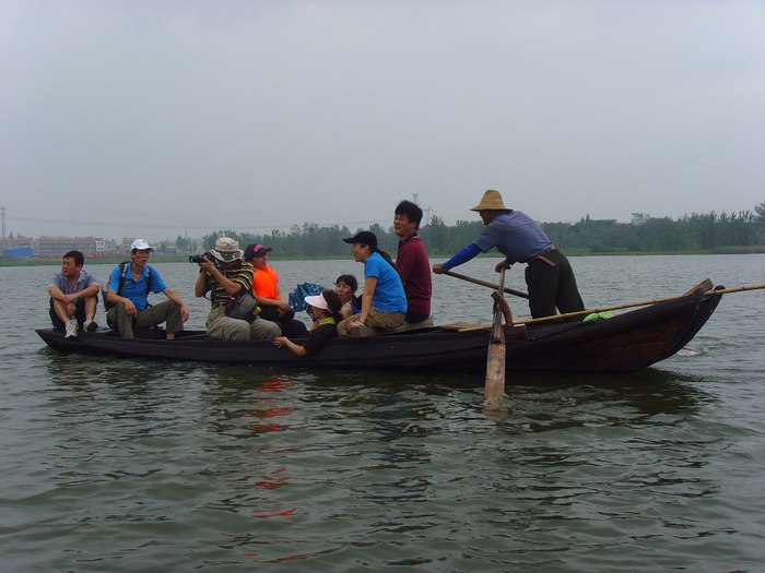 ssl21311.jpg