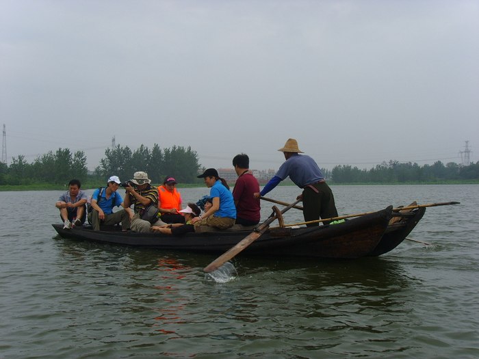 ssl21314.jpg