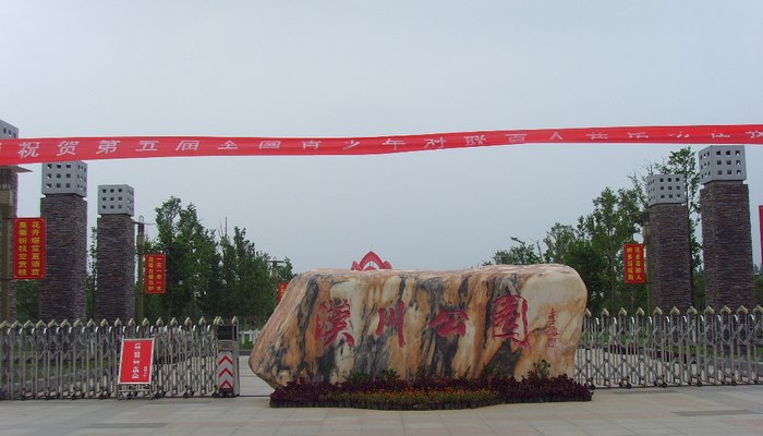ssl21325.jpg