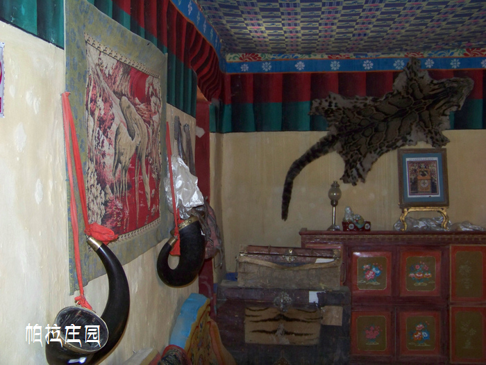 2011年0609f西藏江孜帕拉庄园 (38)虎皮.jpg