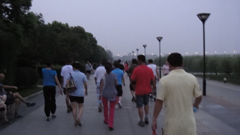 dsc06531.jpg