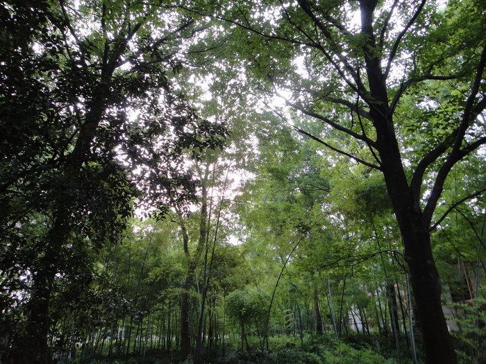 dsc00630-5.jpg