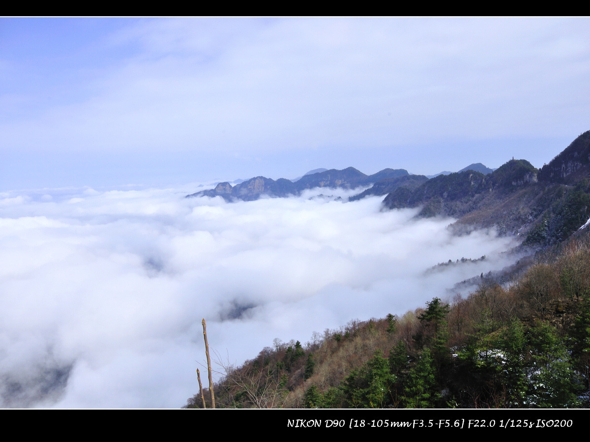 dsc_0181.jpg