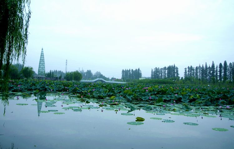 _mg_8219.jpg