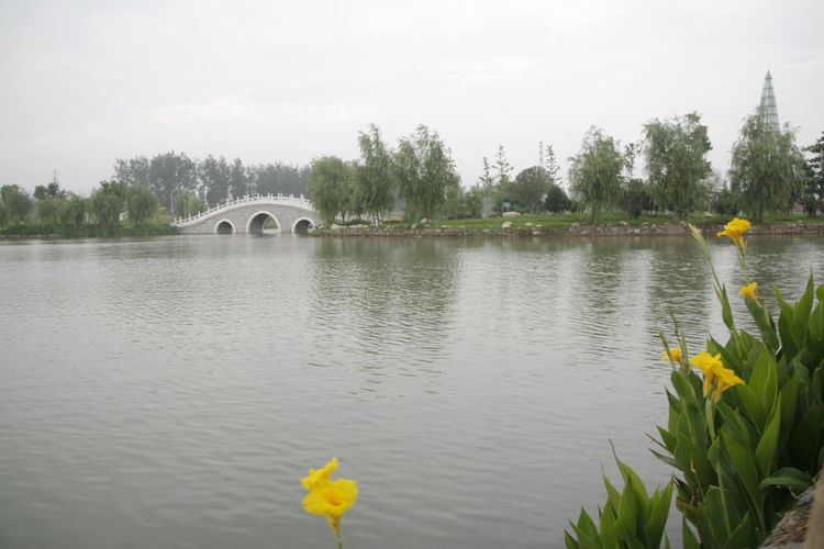 _mg_8231.jpg