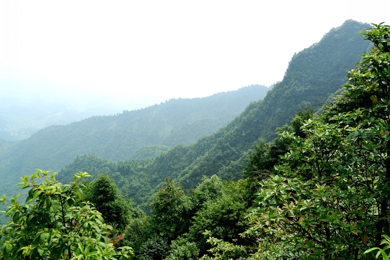 μ 078_conew1.jpg