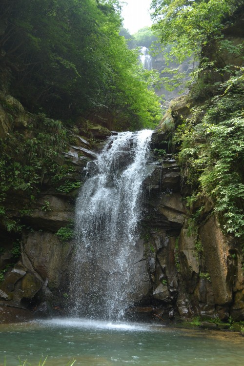μ 082_conew2.jpg