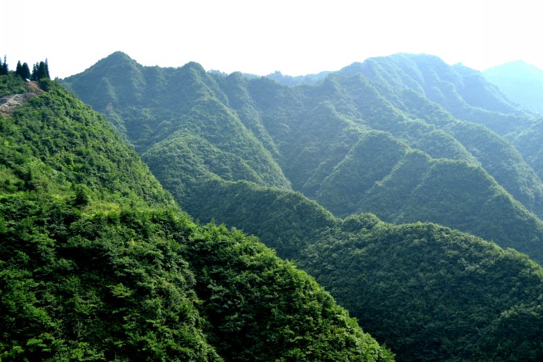 μ 085_conew1.jpg