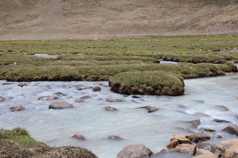 Ƭ 1186.jpg