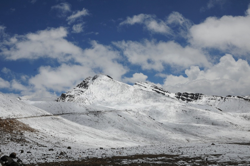Ƭ 1194.jpg