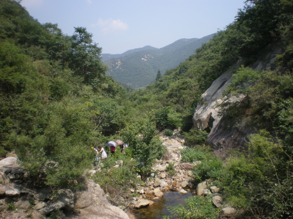 20110823_110032_33.jpg