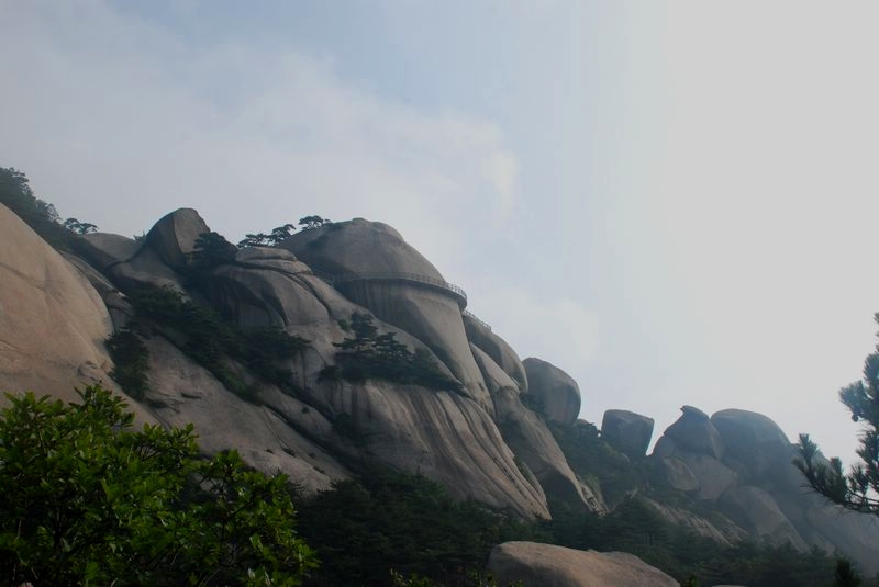 dsc_4450.jpg