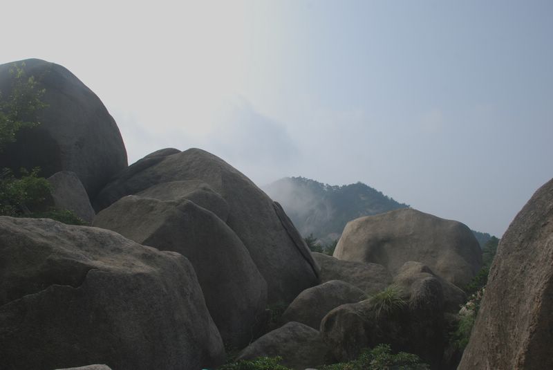 dsc_4453.jpg