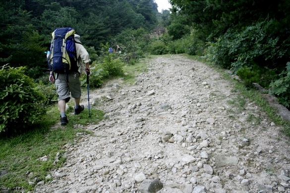 _mg_5957.jpg