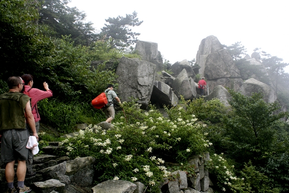 _mg_6006.jpg