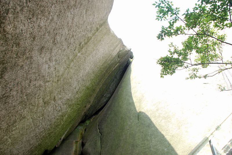 dsc_4512.jpg
