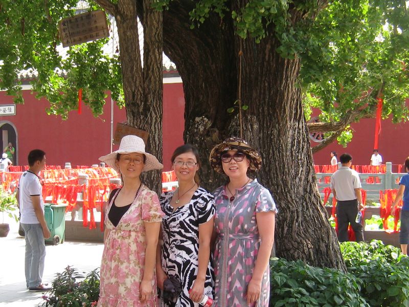 img_9278.jpg