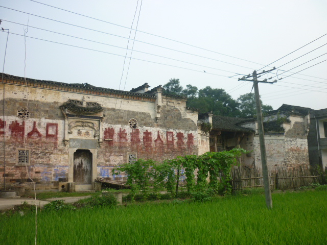 p1040250.jpg