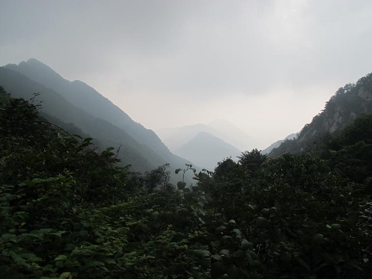 img_4482.jpg