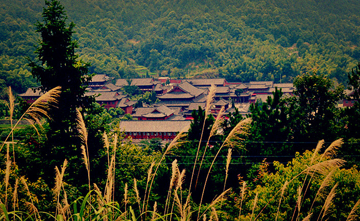 ÷20110723 053.jpg