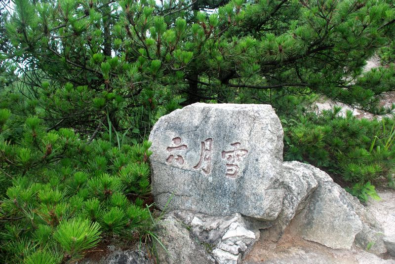 dsc_4753.jpg