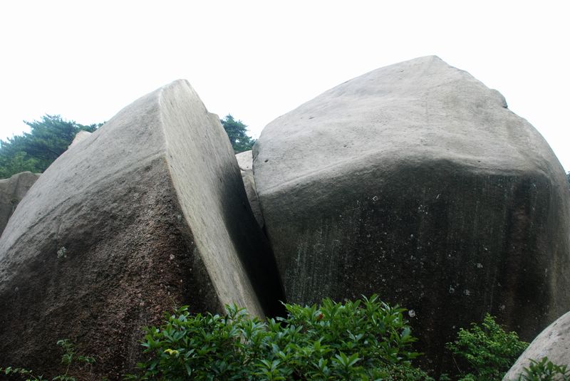 dsc_4800.jpg