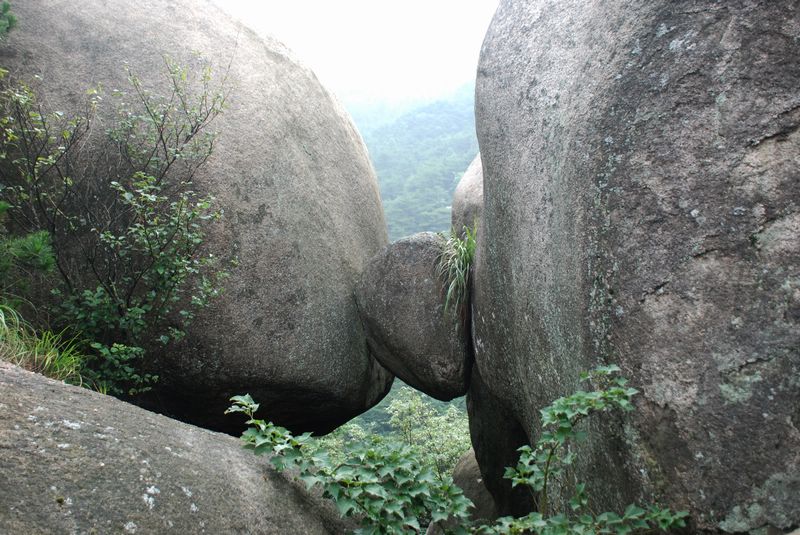 dsc_4801.jpg