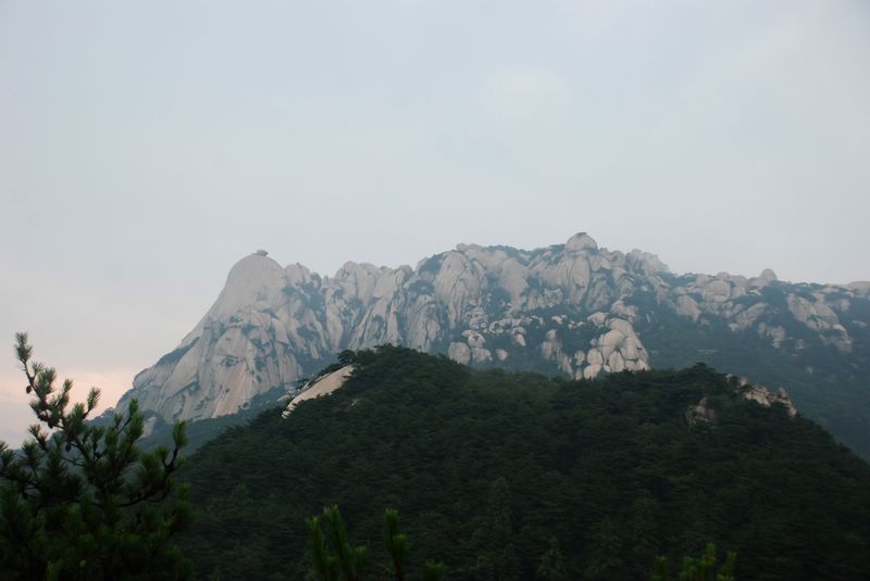 dsc_4837.jpg