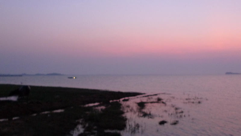 p1010195.jpg