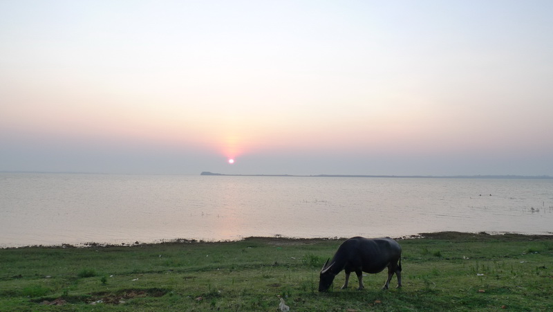 p1010206.jpg