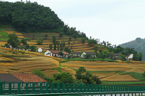 Ƭ 002.jpg