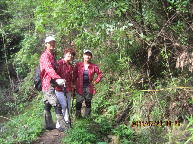 img_6684.jpg
