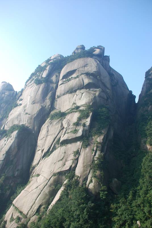 dsc_5003.jpg