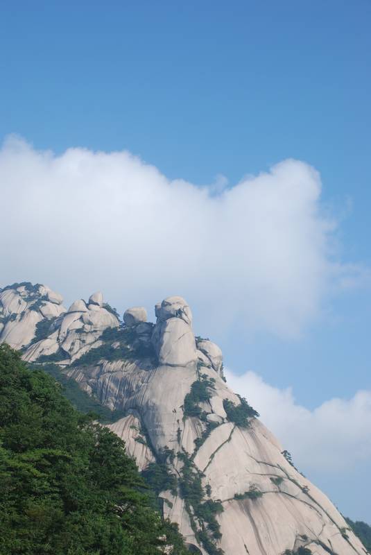 dsc_5006.jpg