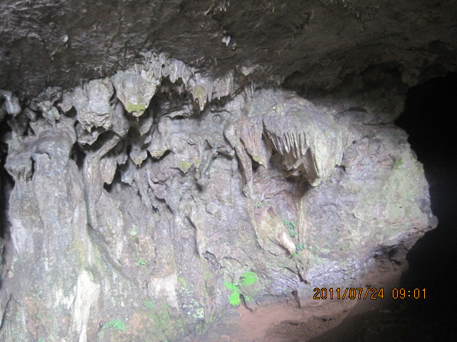 img_6771.jpg