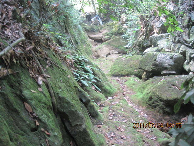 img_6770.jpg